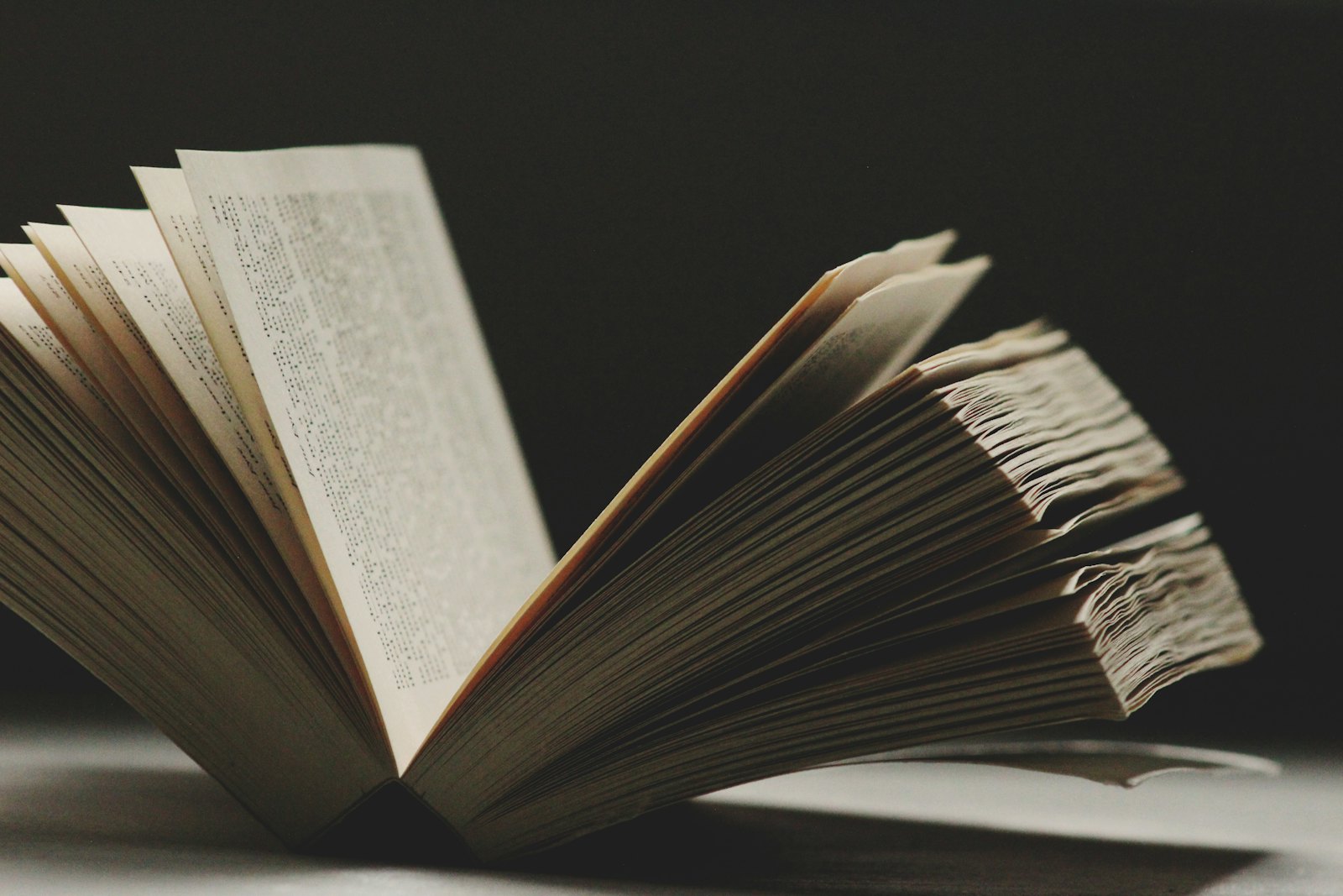 The pages of an open book.